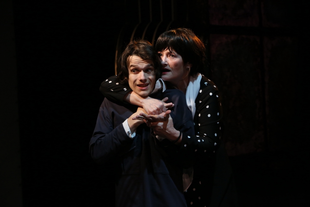 Cum am devenit stupid 11