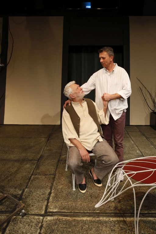 Moartea unui artist 13