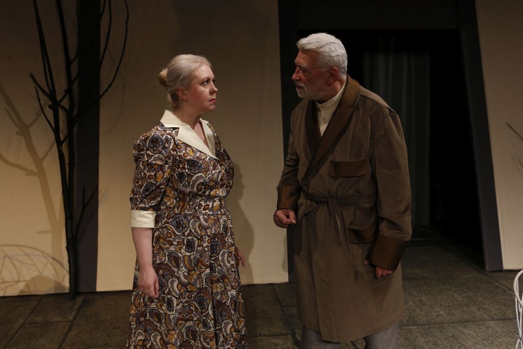 Moartea unui artist 3