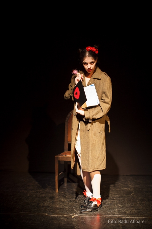 Povestea păsării fără cuib 8